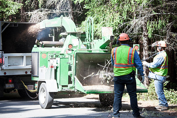 Best Firewood Processing and Delivery  in Industry, PA